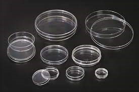 Cell Culture Dishes