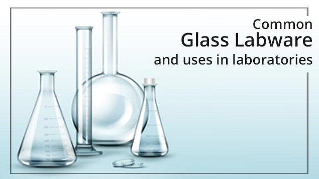 Common Glass Labware & Their Uses in Laboratories